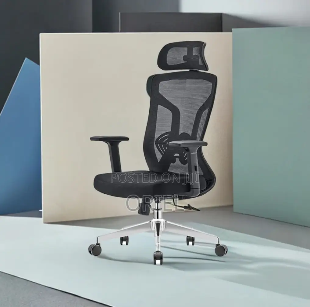 Office Chair : Home Orthopedic Chair.
