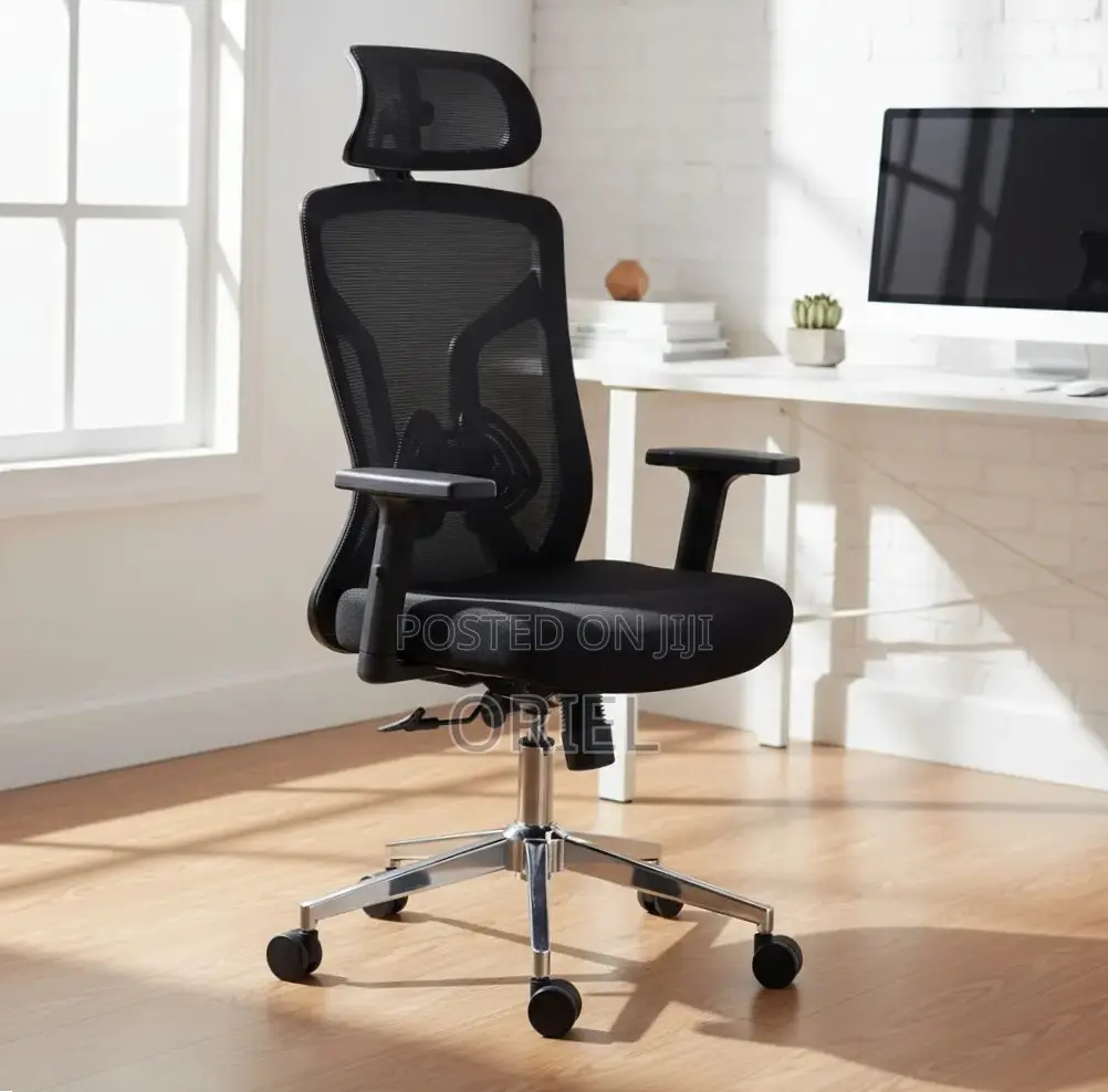 Office Chair : Home Orthopedic Chair.