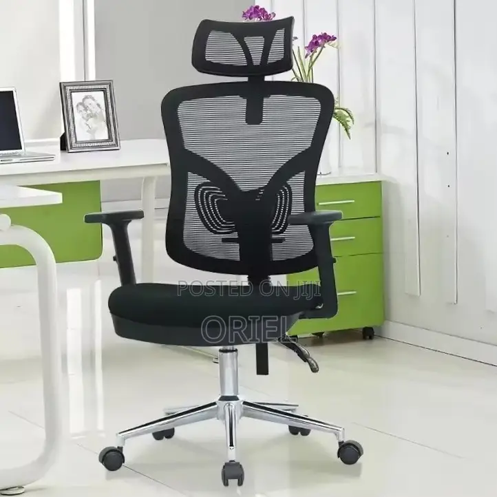 Office Chair : Home Orthopedic Chair.