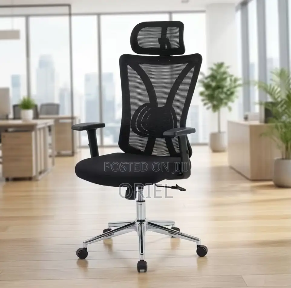 Office Chair : Home Orthopedic Chair.