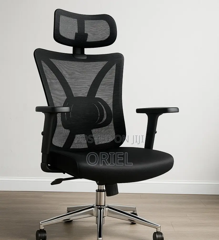 Office Chair : Home Orthopedic Chair.