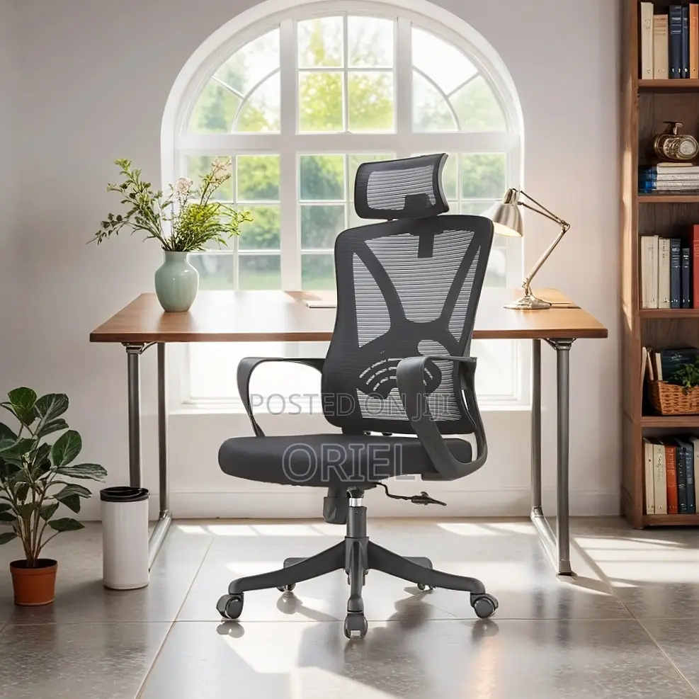 Office Chair : Home Orthopedic Chair.