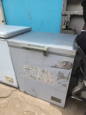 Deep Freezer Silver 180litres