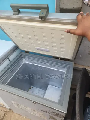 Deep Freezer Silver 180litres