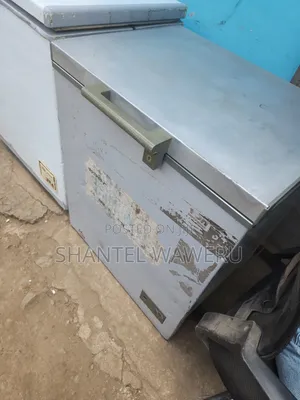 Deep Freezer Silver 180litres