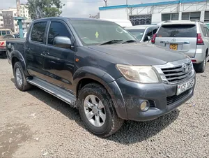 Toyota Hilux 2010 Gray