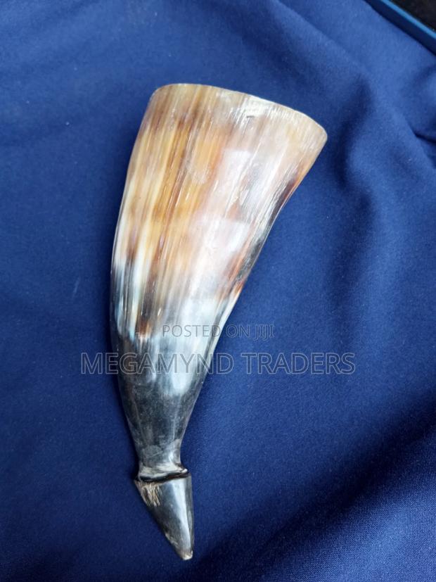 Traditional Horn Drinking Vessel / Ruhia