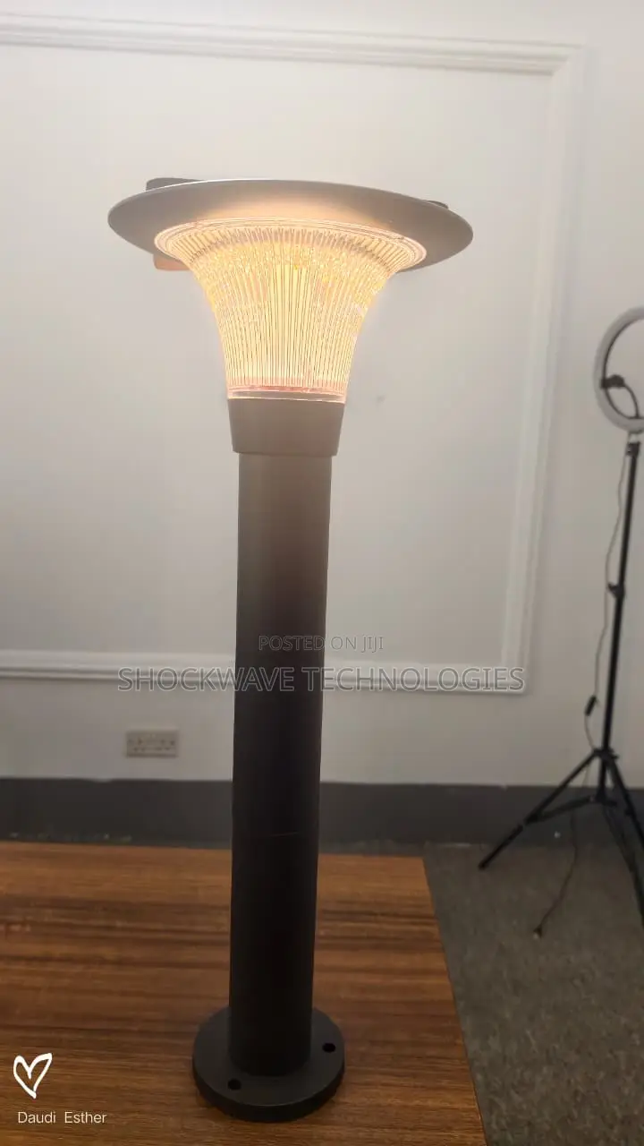 Solar Garden Lights