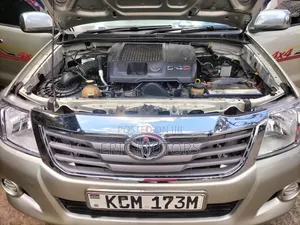 Toyota Hilux 2010 Brown