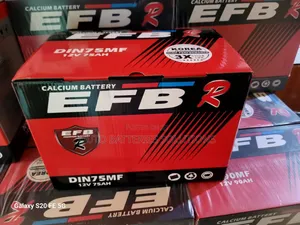 EFB Din 75 Mf Car Battery