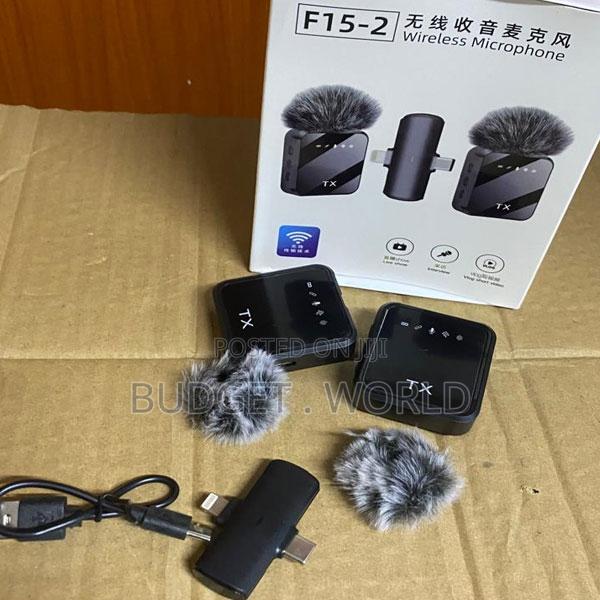 F15-2 Wireless Professional High Fidelity Clear Audio Stage Recording