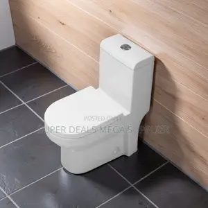 Low Prices Hygienic Sawa One Piece Dual Flush Toilet Seats.