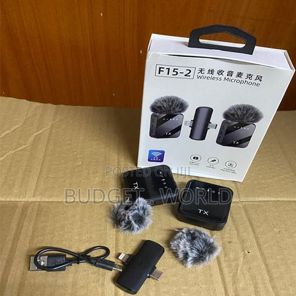 25hz-25khz F15-2 Wireless Microphone Professional
