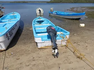 Fishing Boats