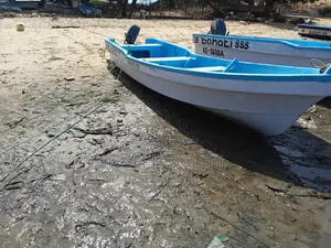 Fishing Boats