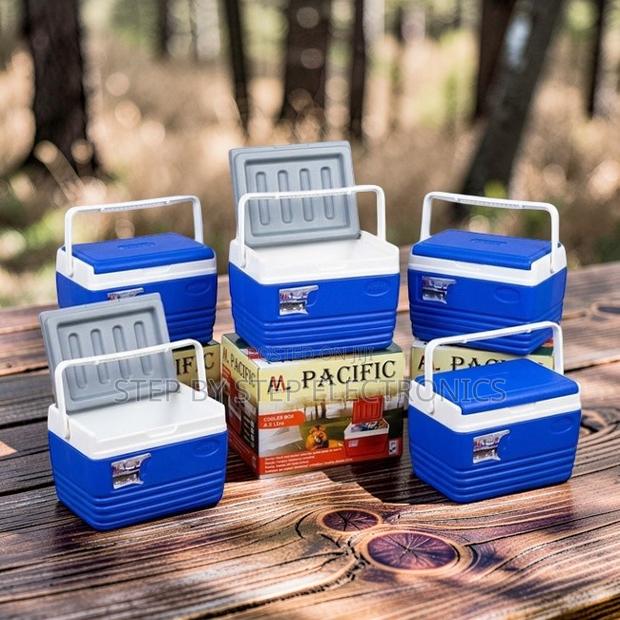 Domestic Use 4.5L Litres Portable Cooler Box Ice Box Chillers