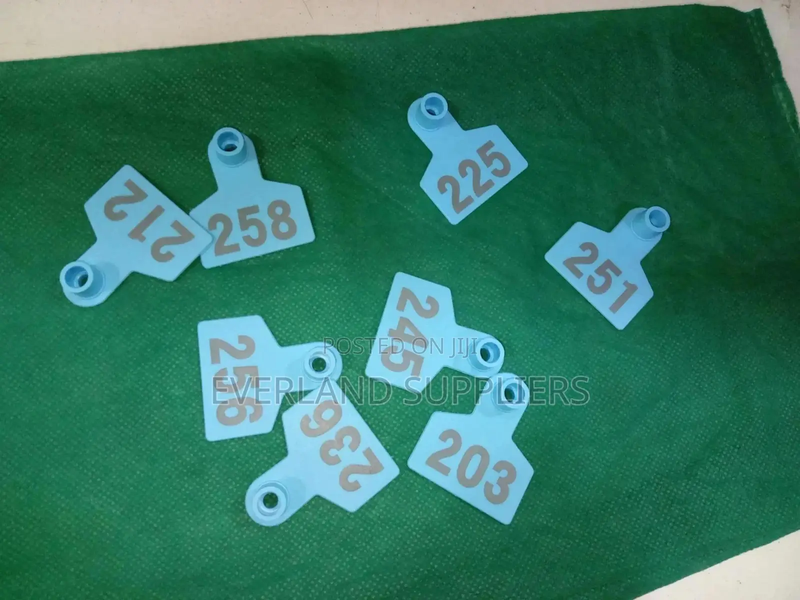 Ear Tags - Practical for Daily Use