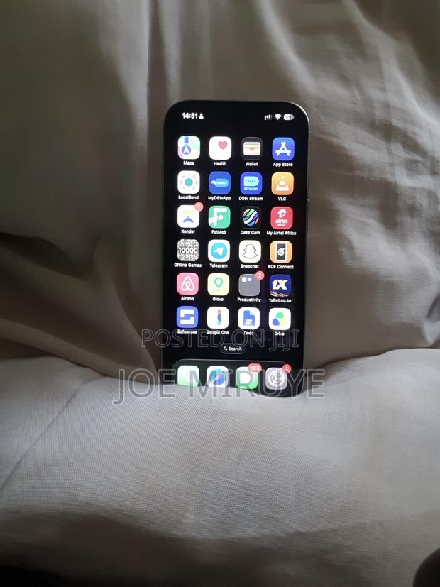 Apple iPhone 16 Pro 256 GB Silver - thumbnail 9