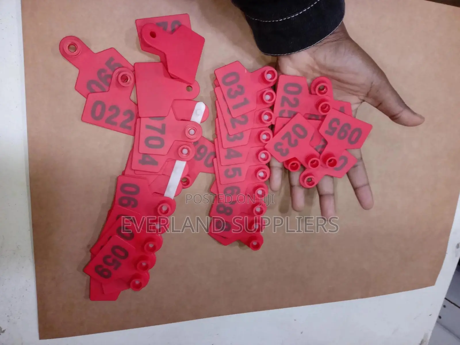Eartag - Bright Identification (100 Pcs)