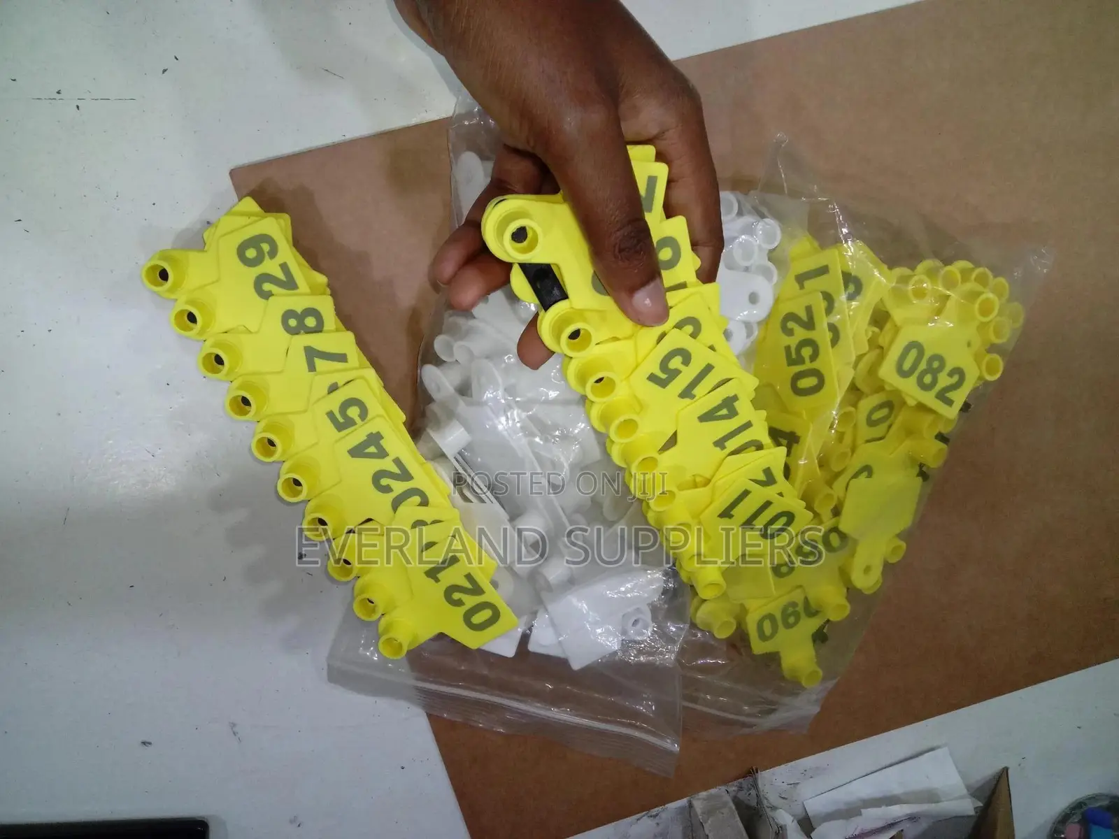 Ear Tags - Durable Plastic 100 PCS