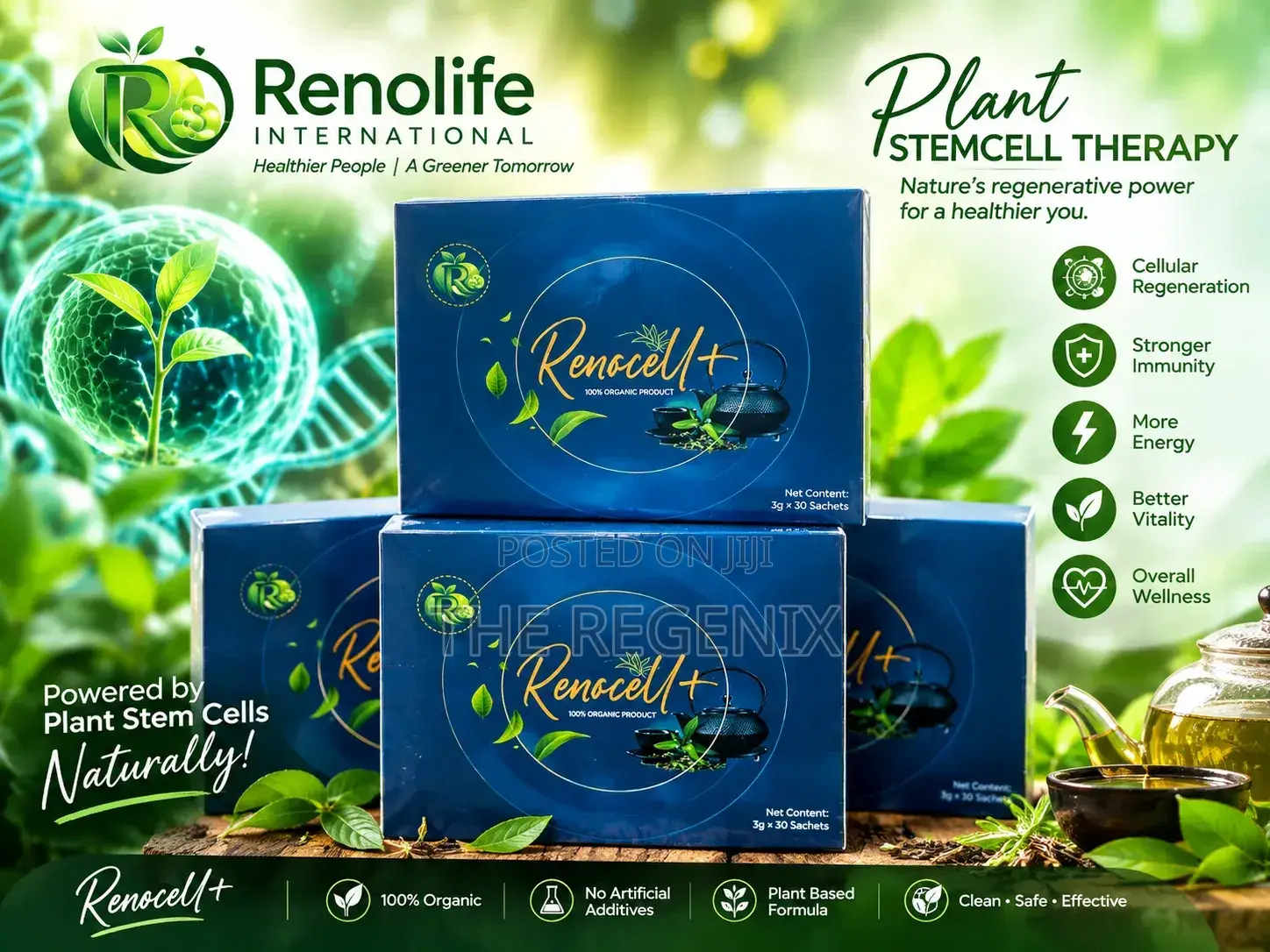 Renocell+stemcell