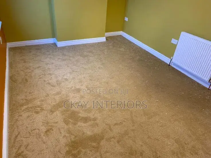 Modern Flooring. Modern Lifestyles Vip Wall to Wall Carpets