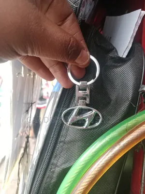 Polished Metal Alloy Hyundai Enclosed Stylized Key Chain