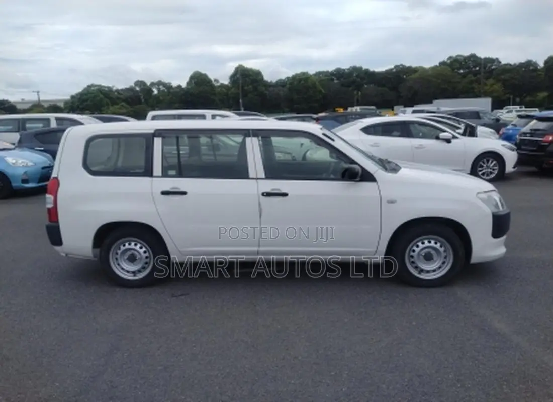 Toyota Probox 2019
