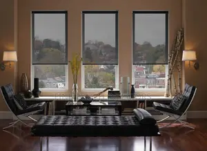 Sunscreen Roller Blinds for Corporate Rooms
