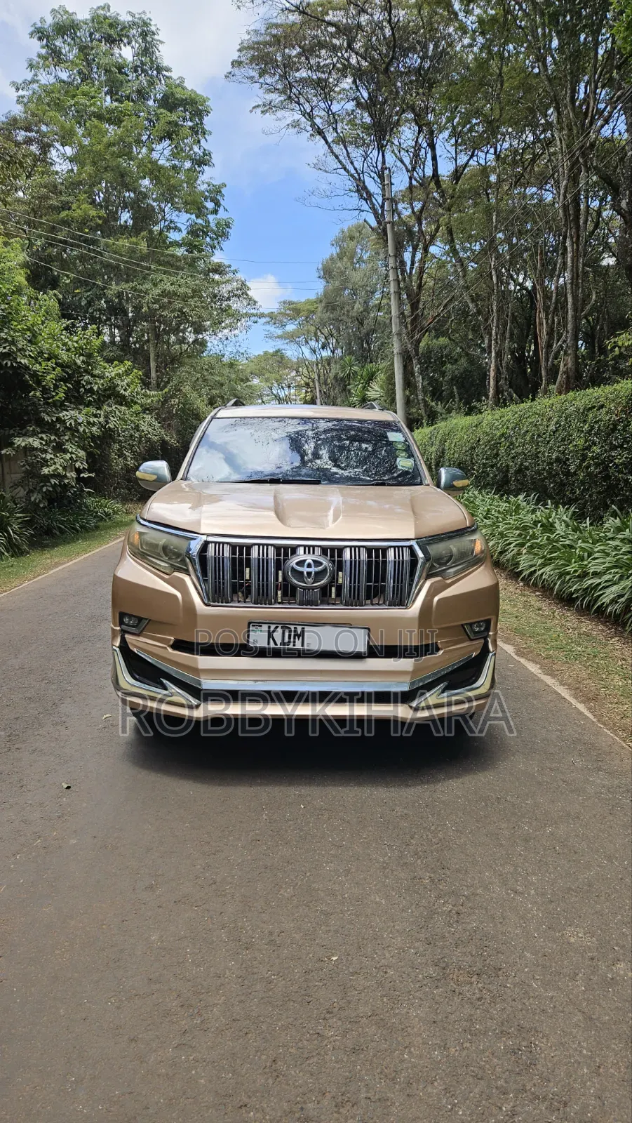 Toyota Land Cruiser Prado 3.0 D-4D 5dr 2006 Brown