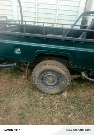 Toyota Land Cruiser 2003 Green