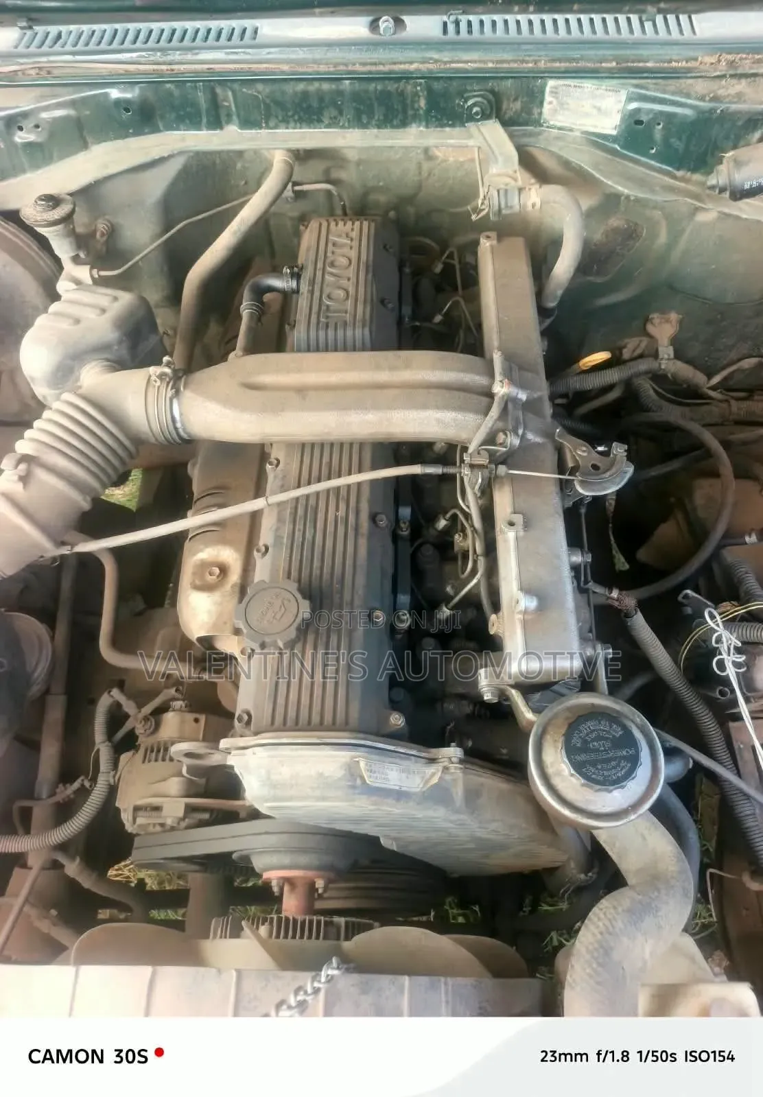 Toyota Land Cruiser 2003 Green