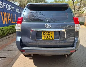 Toyota Land Cruiser Prado 2009 Blue
