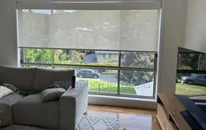 Sunscreen Roller Blinds for Large Windows
