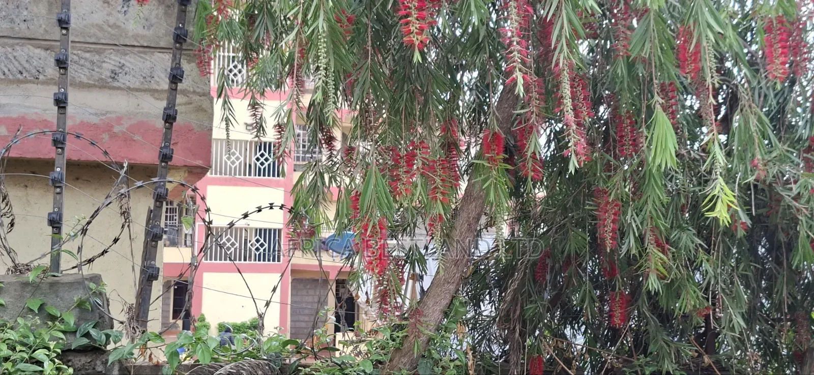 Prime 1.5 Acres for Sale – Kabete Kibichiku, Kiambu County | KSH 46m
