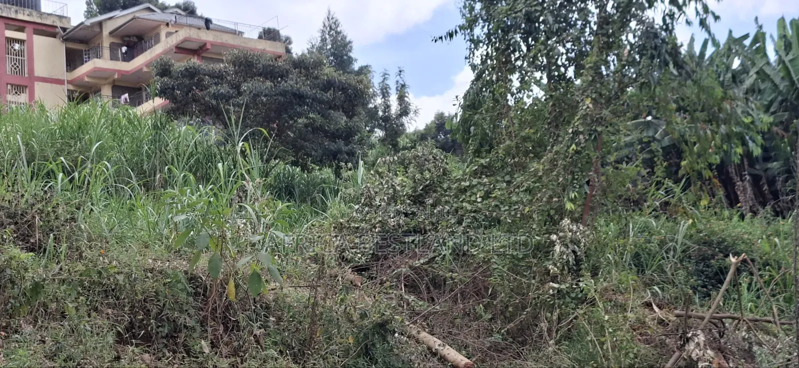 Prime 1.5 Acres for Sale – Kabete Kibichiku, Kiambu County | KSH 46m