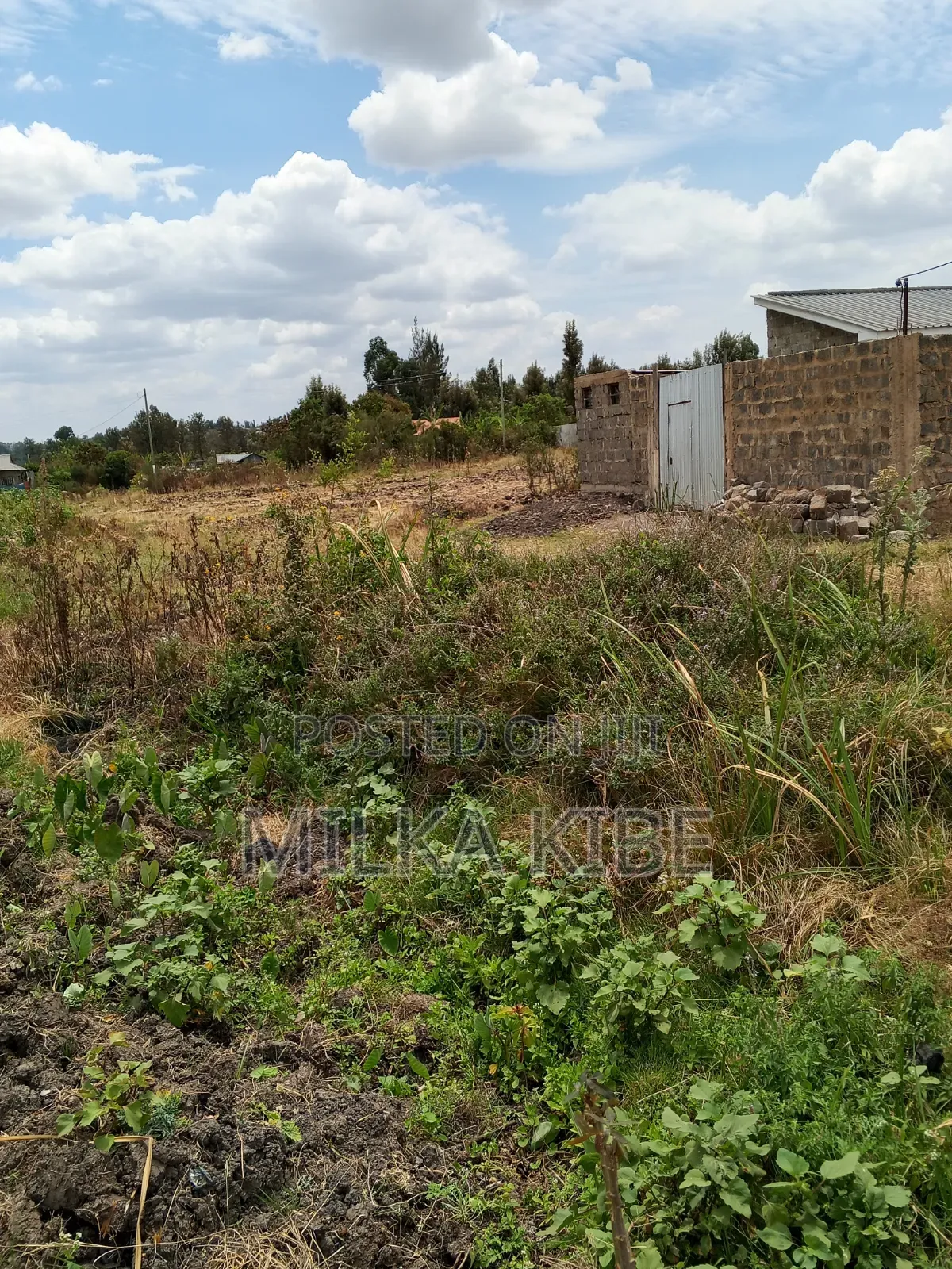 Kiganjo .Mali Plot