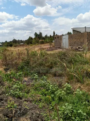 Kiganjo .Mali Plot