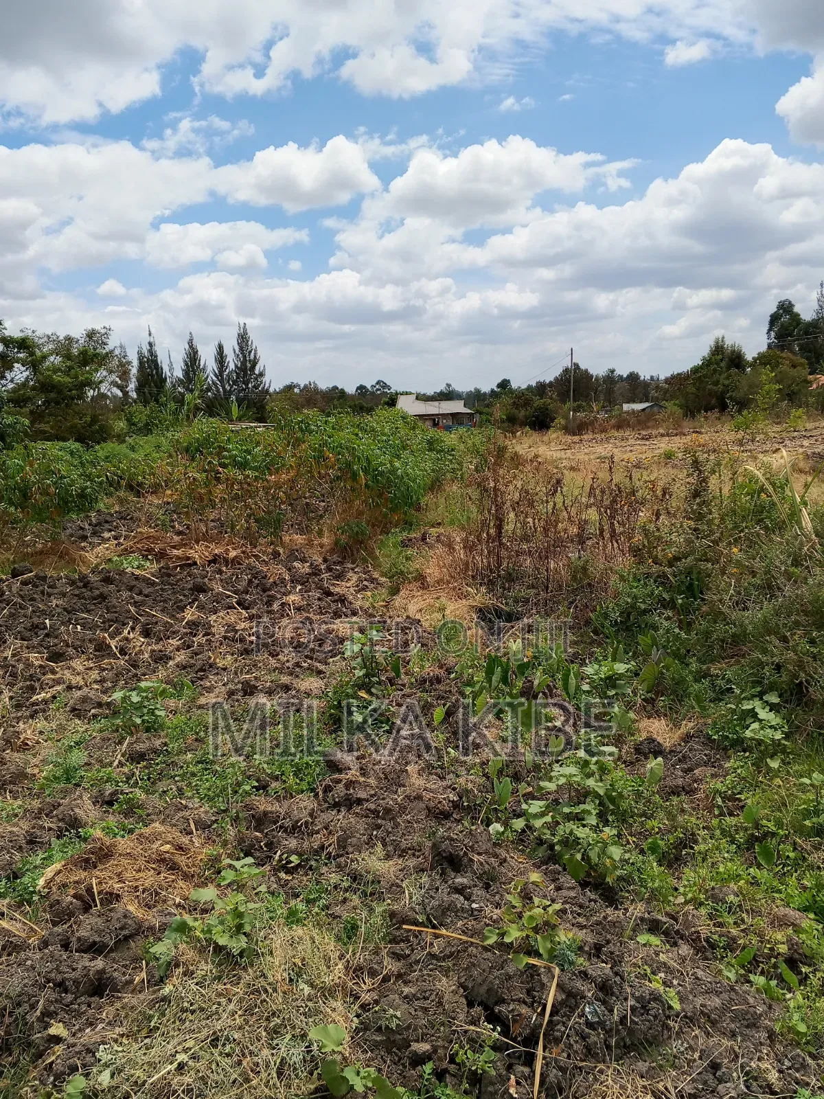 Kiganjo .Mali Plot