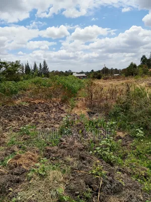 Kiganjo .Mali Plot