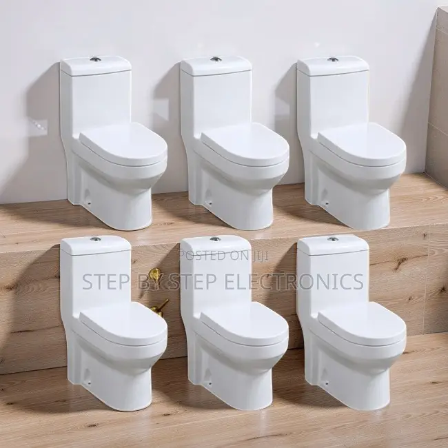 Bulk Discounts Stylish Sawa One Piece Dual Flush Toilet Seats