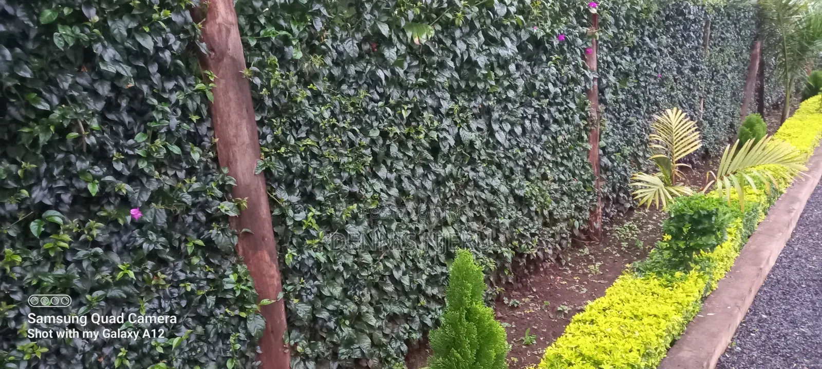 Landscaping