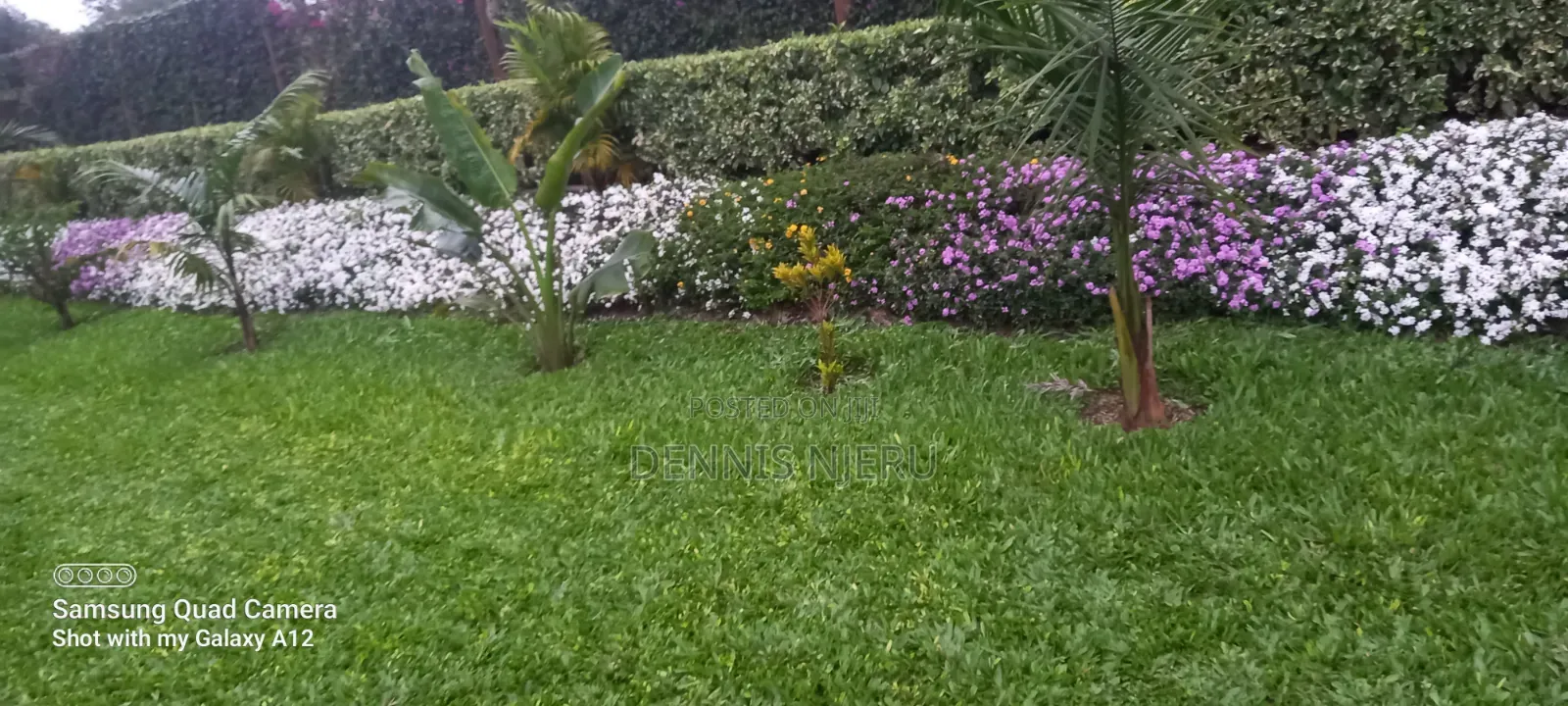 Landscaping