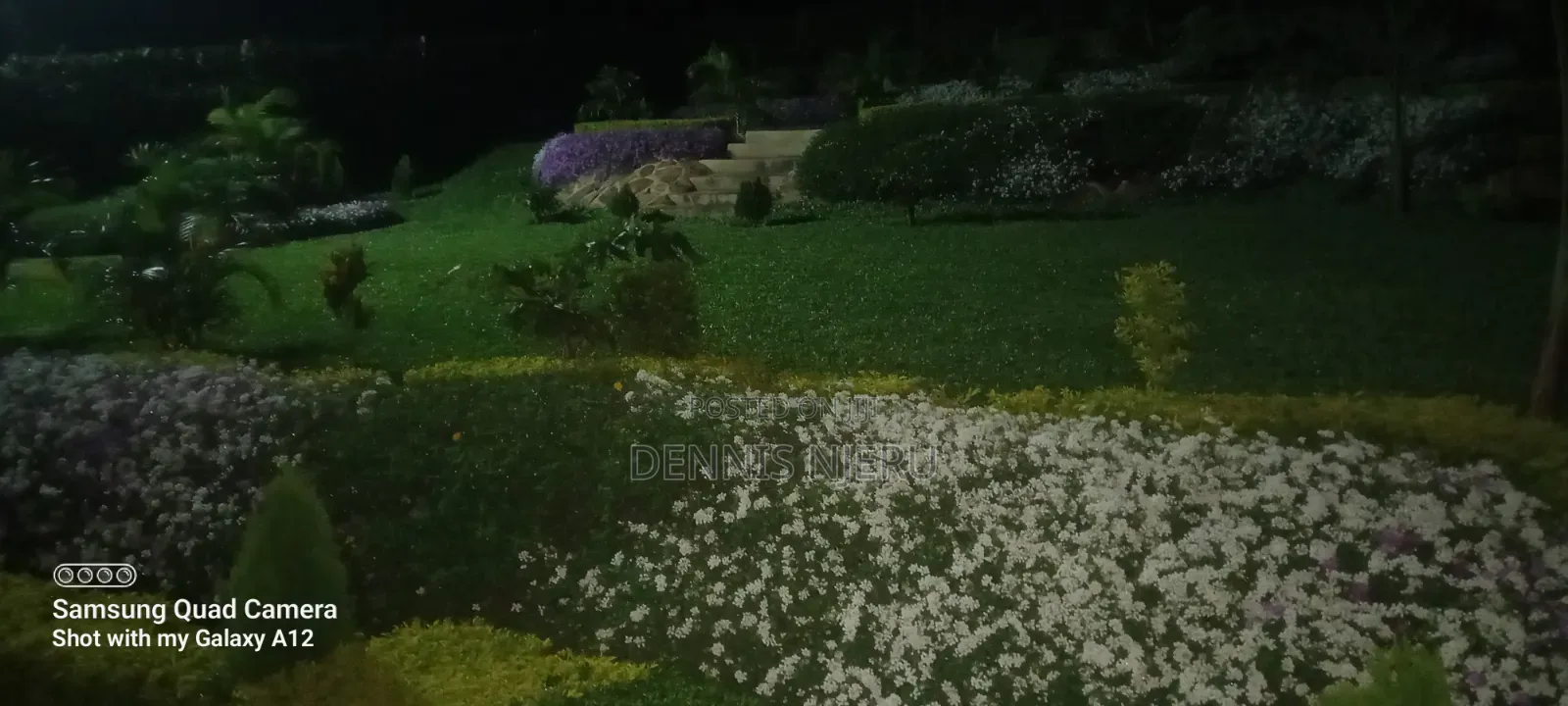 Landscaping