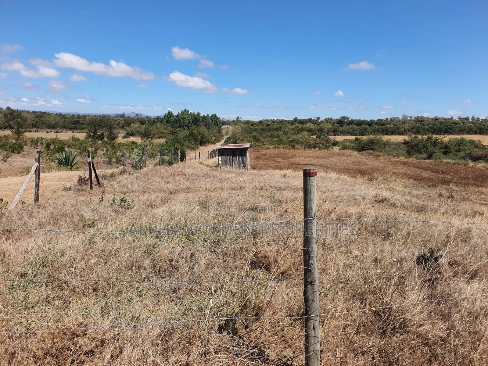 Plot for Sale in Barguret
