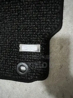 Car Mat Sienta