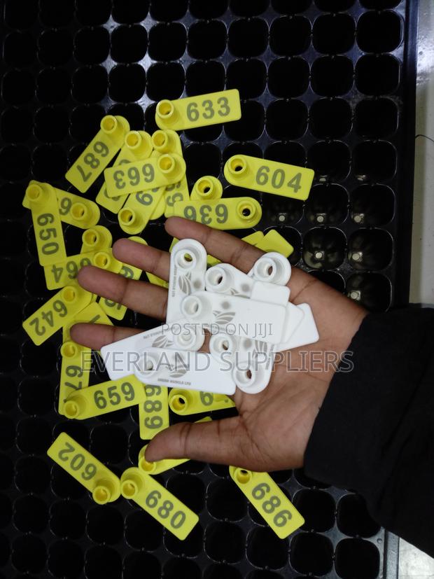 Ear Tags - Identification Slim
