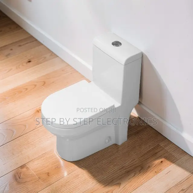 Lowest Prices Hygienic Sawa One Piece Dual Flush Toilet Seats