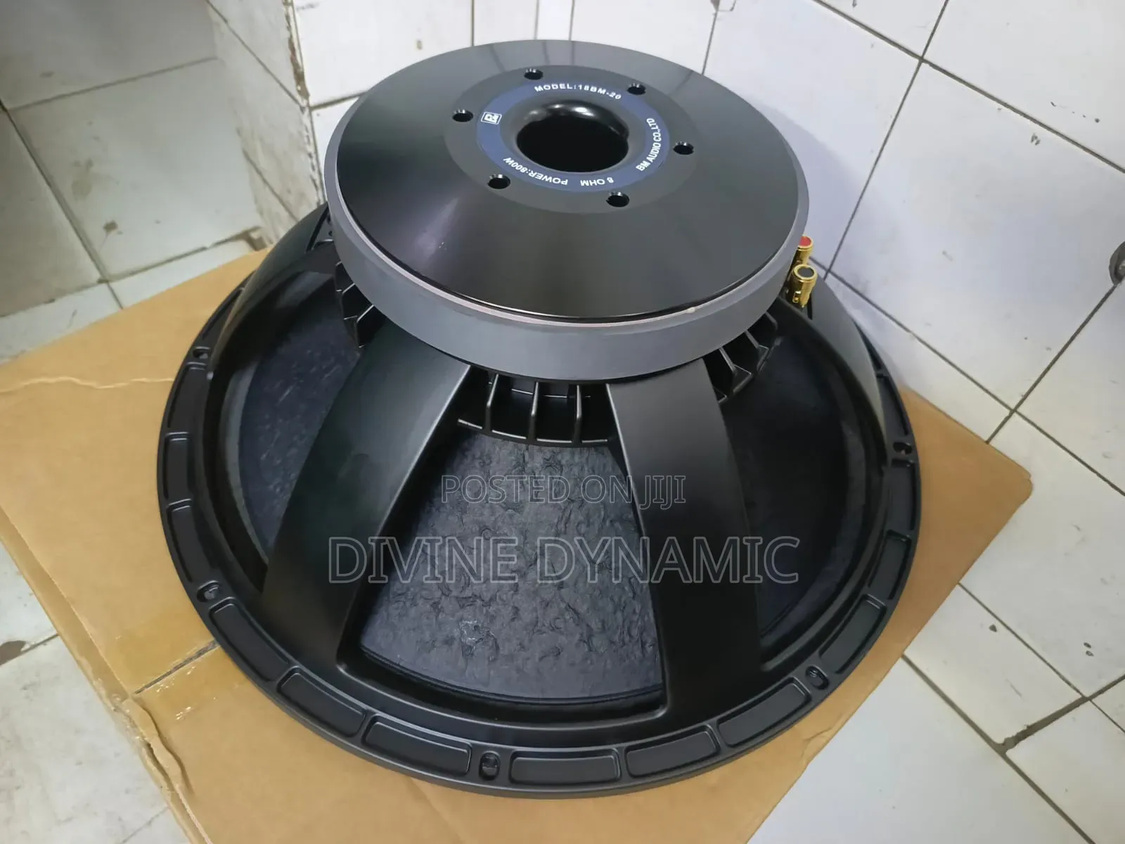 18-Inch BM-20 Bass Speaker
