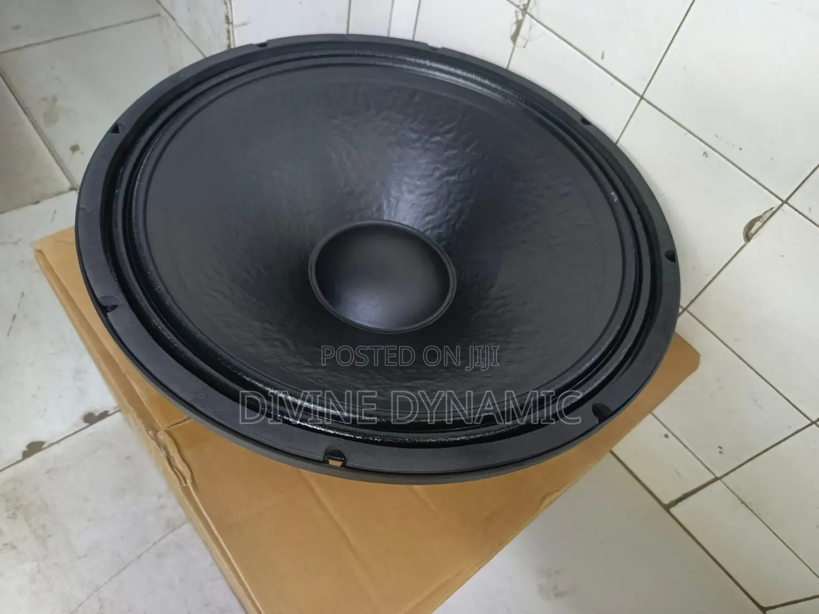 18-Inch BM-20 Bass Speaker